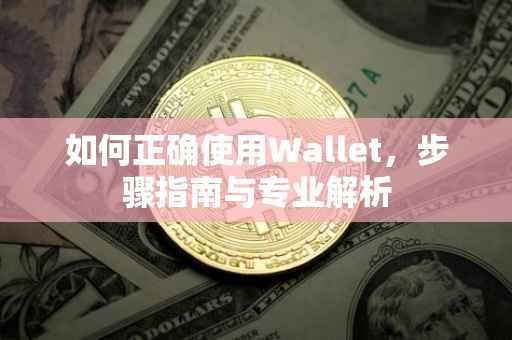 如何正确使用Wallet，步骤指南与专业解析