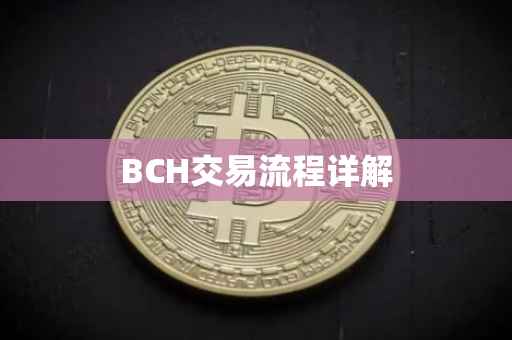BCH交易流程详解