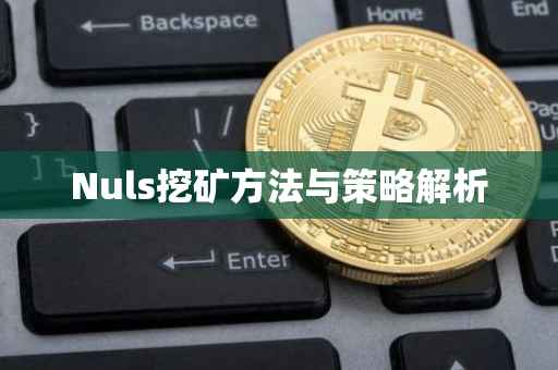 Nuls挖矿方法与策略解析
