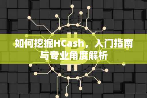 如何挖掘HCash,入门指南与专业角度解析