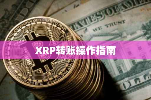 XRP转账操作指南