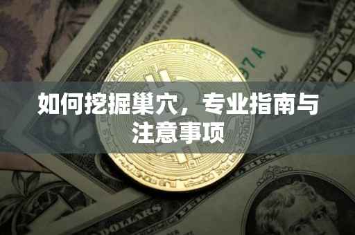 如何挖掘巢穴，专业指南与注意事项