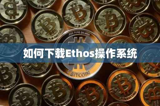 如何下载Ethos操作系统