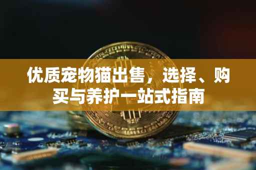 优质宠物猫出售,选择、购买与养护一站式指南