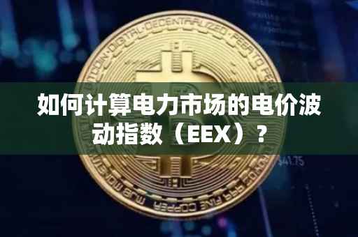如何计算电力市场的电价波动指数(EEX)?