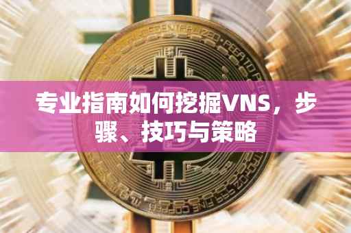 专业指南如何挖掘VNS，步骤、技巧与策略