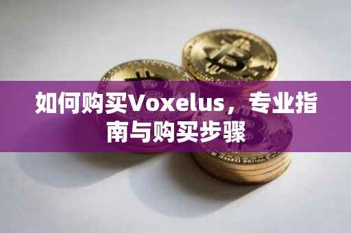 如何购买Voxelus，专业指南与购买步骤