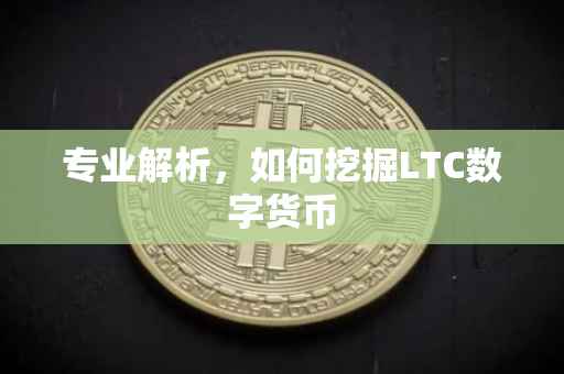 专业解析,如何挖掘LTC数字货币