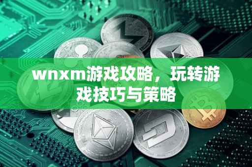 wnxm游戏攻略，玩转游戏技巧与策略