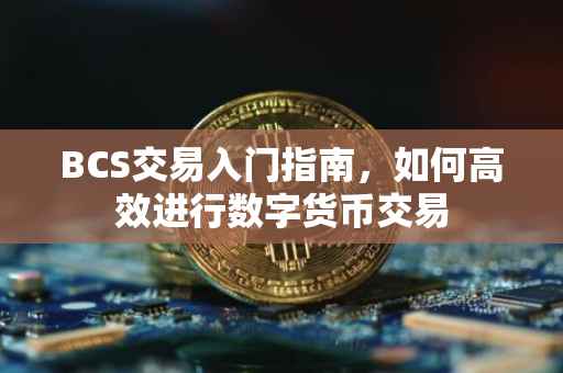 BCS交易入门指南,如何高效进行数字货币交易
