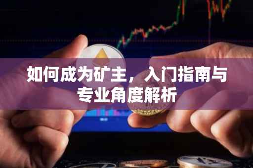 如何成为矿主，入门指南与专业角度解析
