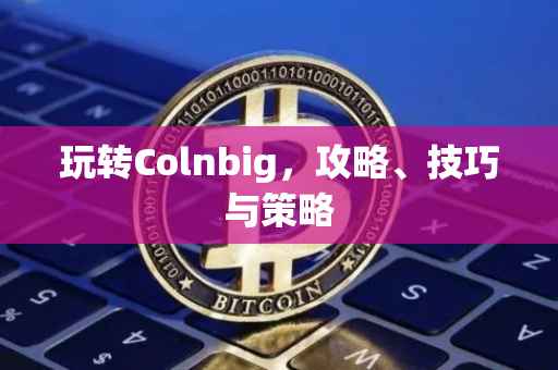 玩转Colnbig，攻略、技巧与策略