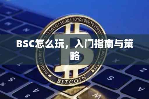 BSC怎么玩，入门指南与策略