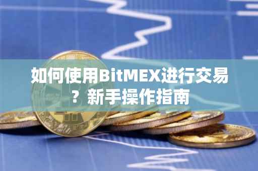 如何使用BitMEX进行交易？新手操作指南
