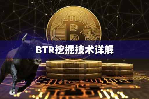 BTR挖掘技术详解