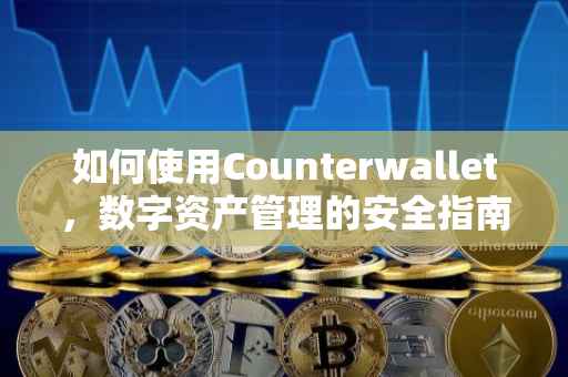 如何使用Counterwallet，数字资产管理的安全指南