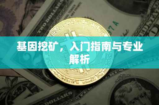 基因挖矿，入门指南与专业解析