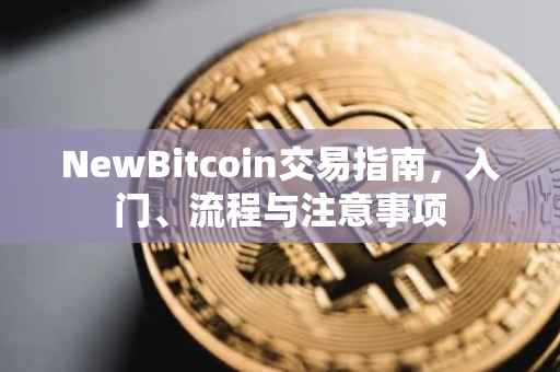 NewBitcoin交易指南，入门、流程与注意事项