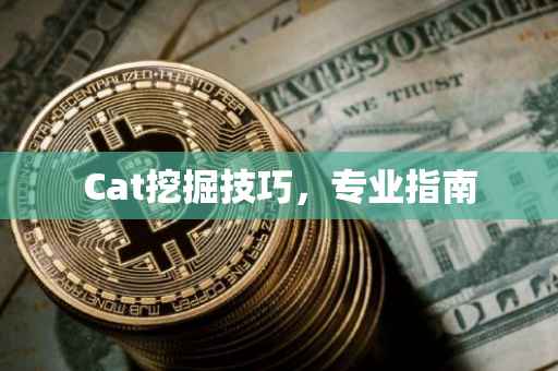 Cat挖掘技巧，专业指南