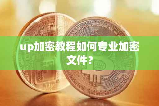 up加密教程如何专业加密文件？