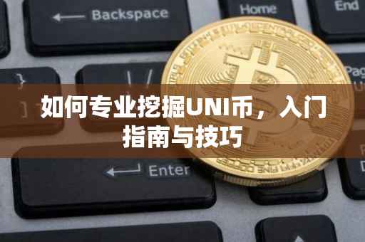 如何专业挖掘UNI币,入门指南与技巧