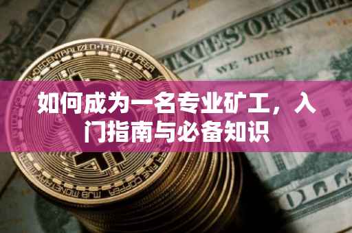 如何成为一名专业矿工，入门指南与必备知识