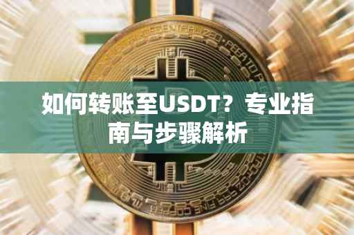 如何转账至USDT？专业指南与步骤解析