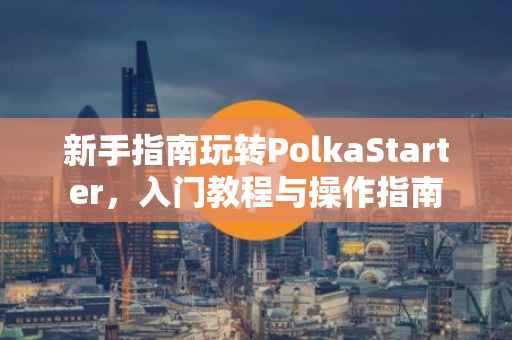 新手指南玩转PolkaStarter，入门教程与操作指南
