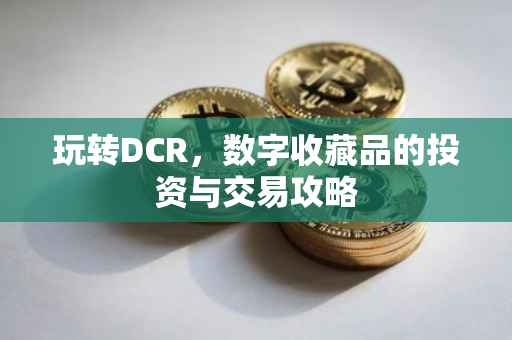 玩转DCR，数字收藏品的投资与交易攻略