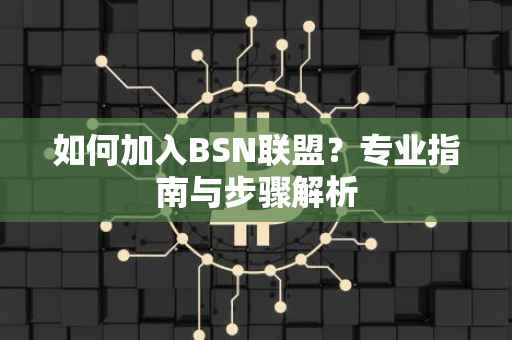 如何加入BSN联盟？专业指南与步骤解析