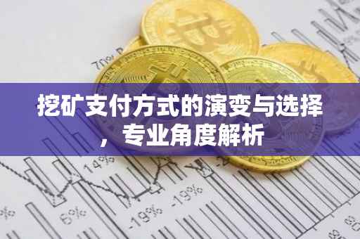 挖矿支付方式的演变与选择，专业角度解析