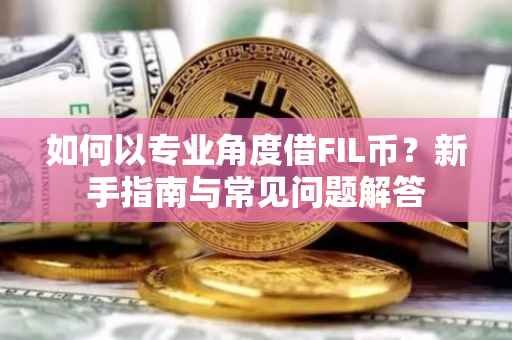 如何以专业角度借FIL币？新手指南与常见问题解答