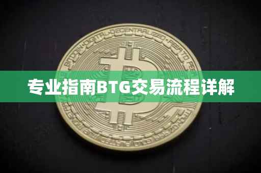 专业指南BTG交易流程详解