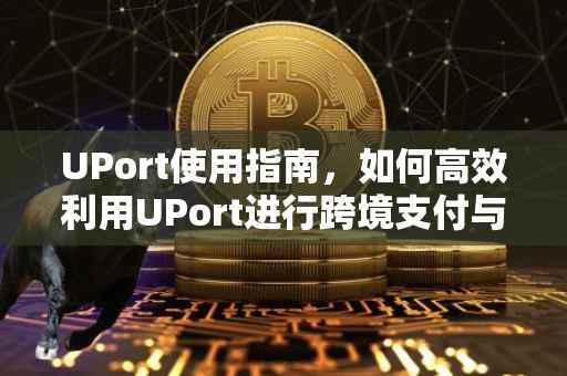 UPort使用指南，如何高效利用UPort进行跨境支付与资产管理？