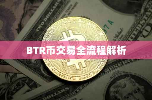 BTR币交易全流程解析