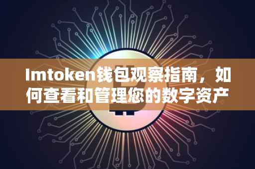 Imtoken钱包观察指南，如何查看和管理您的数字资产？