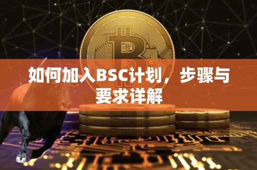 如何加入BSC计划，步骤与要求详解