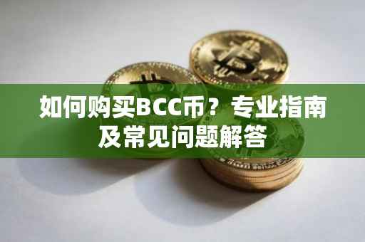 如何购买BCC币？专业指南及常见问题解答