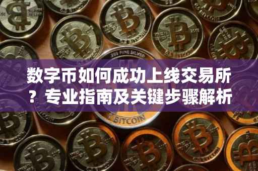 数字币如何成功上线交易所？专业指南及关键步骤解析