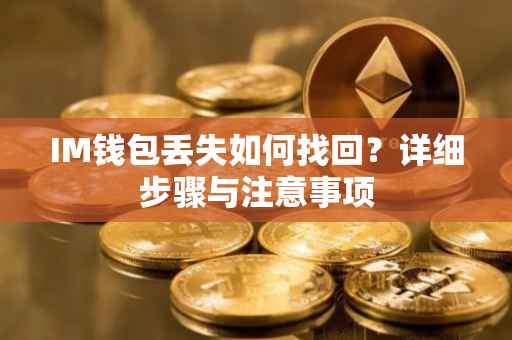 IM钱包丢失如何找回？详细步骤与注意事项