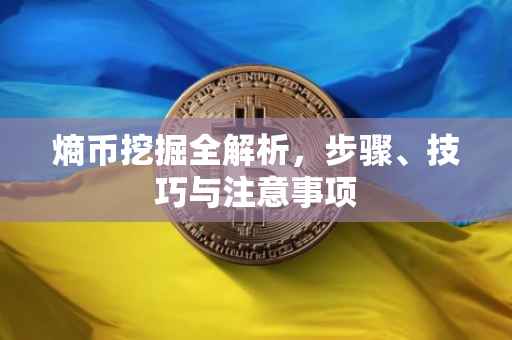 熵币挖掘全解析，步骤、技巧与注意事项