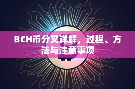 BCH币分叉详解，过程、方法与注意事项