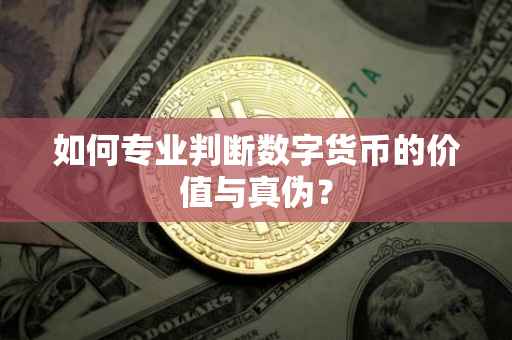 如何专业判断数字货币的价值与真伪？