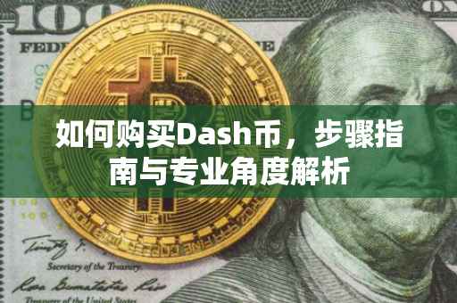 如何购买Dash币，步骤指南与专业角度解析
