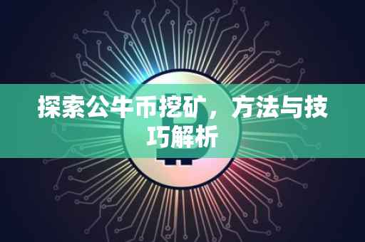 探索公牛币挖矿，方法与技巧解析