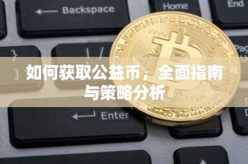如何获取公益币，全面指南与策略分析