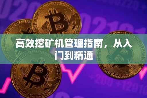 高效挖矿机管理指南,从入门到精通
