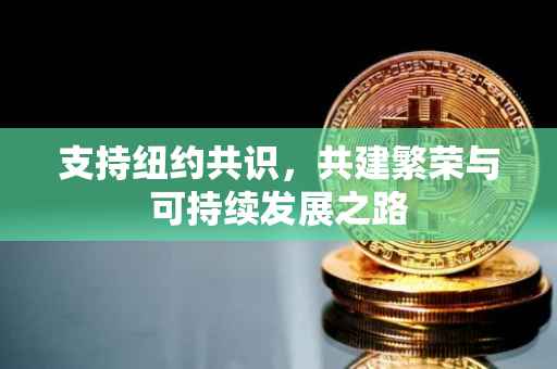 支持纽约共识，共建繁荣与可持续发展之路