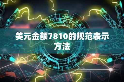 美元金额7810的规范表示方法