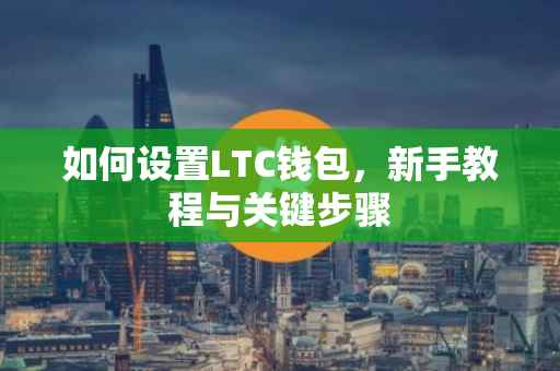 如何设置LTC钱包，新手教程与关键步骤